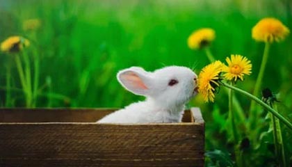 开云体育下载-国足主教练邵佳一：中国足球要持续精进、保持专注